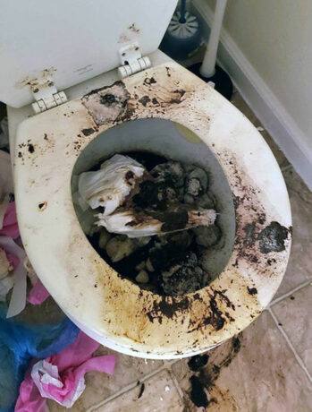 Dirty Toilet for Human Waste Cleanup in Fresno, CA