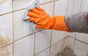 Wiping down dirty shower walls as part of a hoarder clean up in San Fancisco