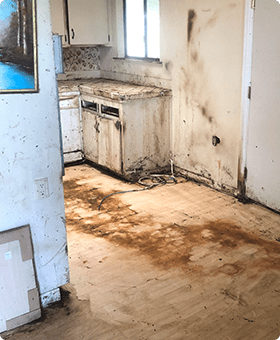 Kitchen with Mold, Dirty Before Distressed Property Clean Up in Modesto, Stockton, San Francisco, Ripon, San Jose, CA