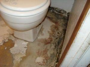 Sewage Cleanup in San Francisco for a damaged floor by a toilet