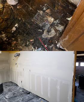 Mold Remediation