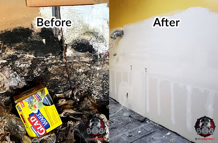 Black Mold Tampa