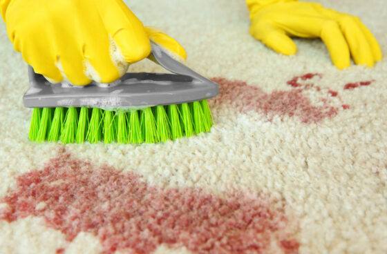 Blood cleanup in Folsom, CA, cleaning stain out of carpet