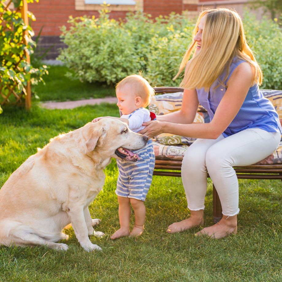 Family in Backyard After Dog Feces Removal and and Pet Feces Clean Up Project in San Jose, CA