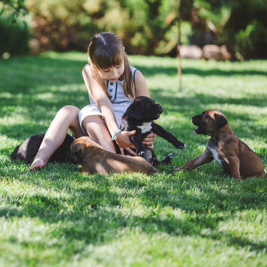 Young Girl in Backyard After Dog Feces Removal and and Pet Feces Clean Up Project in Sacramento, CA