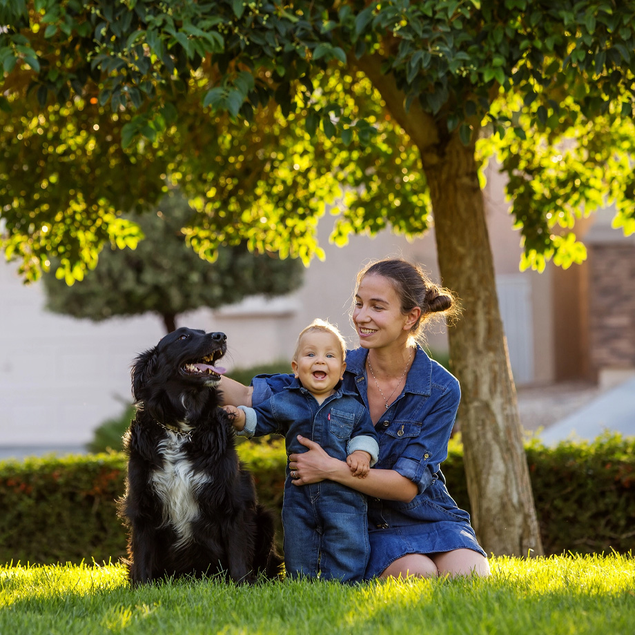 Young Girl in Backyard After Dog Feces Removal and and Pet Feces Clean Up Project in San Francisco, CA, Oakland, CA