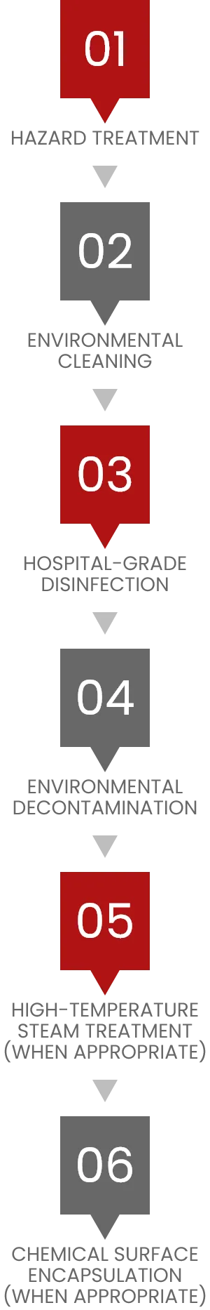 Step 1: Treatment Process, Step 2: Cleaning Process, Step 3: Disinfection Process, Step 4: Decontamination Process, Step 5: Sterilization Process, and Step 6: Encapsulation Process
